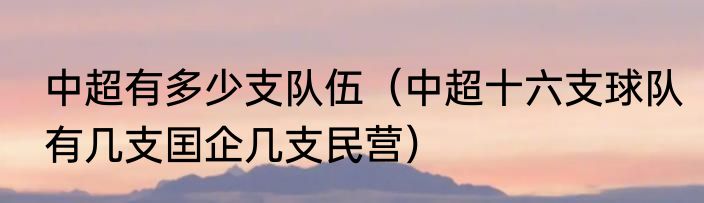 中超有多少支队伍（中超十六支球队有几支囯企几支民营）