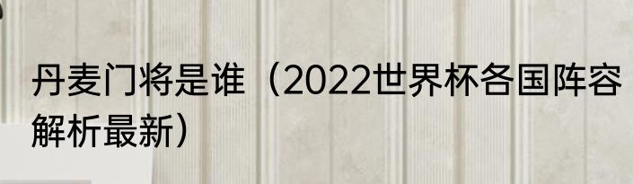丹麦门将是谁（2022世界杯各国阵容解析最新）