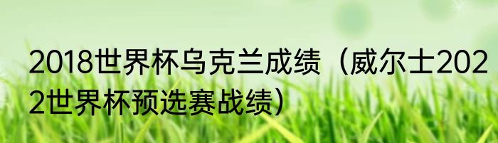 2018世界杯乌克兰成绩（威尔士2022世界杯预选赛战绩）