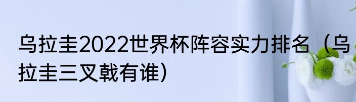 乌拉圭2022世界杯阵容实力排名（乌拉圭三叉戟有谁）
