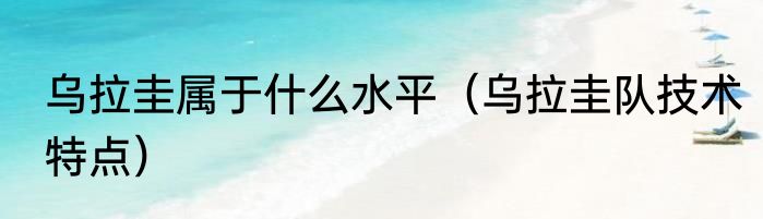 乌拉圭属于什么水平（乌拉圭队技术特点）