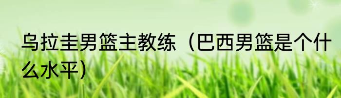 乌拉圭男篮主教练（巴西男篮是个什么水平）