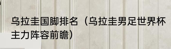 乌拉圭国脚排名（乌拉圭男足世界杯主力阵容前瞻）
