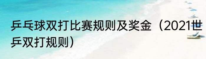乒乓球双打比赛规则及奖金（2021世乒双打规则）