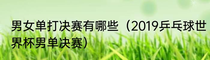 男女单打决赛有哪些（2019乒乓球世界杯男单决赛）