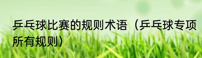 乒乓球比赛的规则术语（乒乓球专项所有规则）