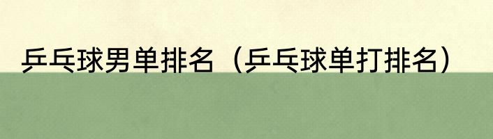 乒乓球男单排名（乒乓球单打排名）