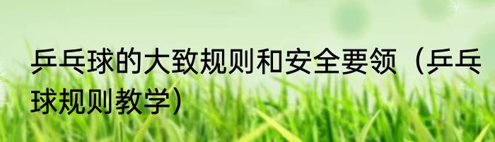 乒乓球的大致规则和安全要领（乒乓球规则教学）