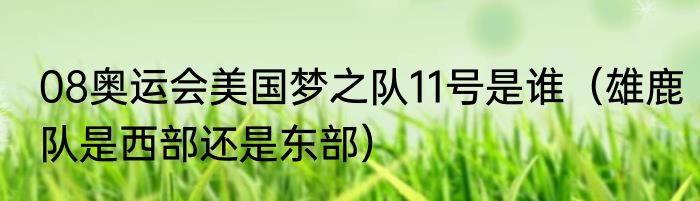 08奥运会美国梦之队11号是谁（雄鹿队是西部还是东部）