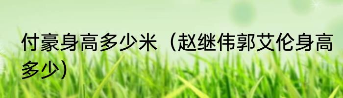 付豪身高多少米（赵继伟郭艾伦身高多少）
