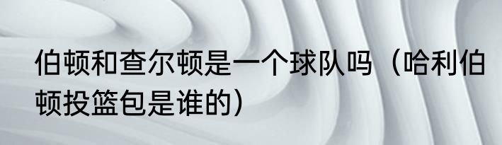 伯顿和查尔顿是一个球队吗（哈利伯顿投篮包是谁的）