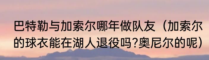 巴特勒与加索尔哪年做队友（加索尔的球衣能在湖人退役吗?奥尼尔的呢）