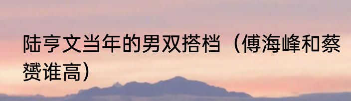 陆亨文当年的男双搭档（傅海峰和蔡赟谁高）