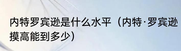 内特罗宾逊是什么水平（内特·罗宾逊摸高能到多少）