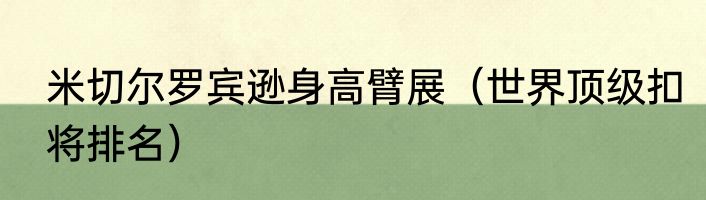 米切尔罗宾逊身高臂展（世界顶级扣将排名）