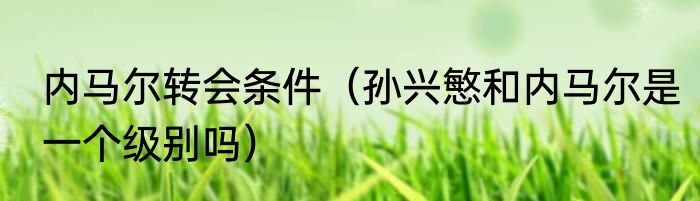 内马尔转会条件（孙兴慜和内马尔是一个级别吗）