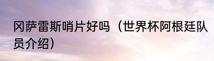 冈萨雷斯哨片好吗（世界杯阿根廷队员介绍）