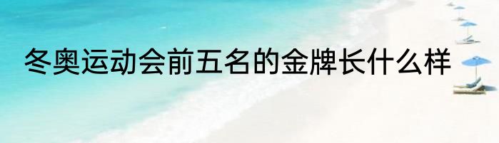 冬奥运动会前五名的金牌长什么样