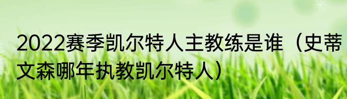 2022赛季凯尔特人主教练是谁（史蒂文森哪年执教凯尔特人）