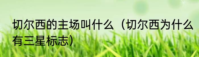 切尔西的主场叫什么（切尔西为什么有三星标志）