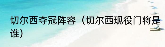 切尔西夺冠阵容（切尔西现役门将是谁）