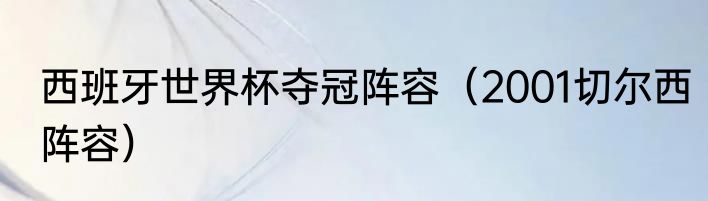 西班牙世界杯夺冠阵容(2001切尔西阵容)