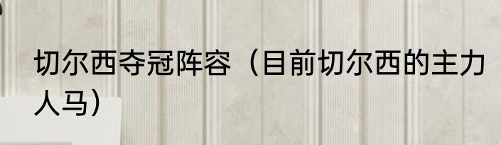 切尔西夺冠阵容（目前切尔西的主力人马）