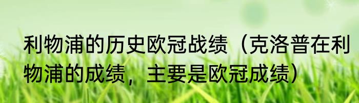 利物浦的历史欧冠战绩（克洛普在利物浦的成绩，主要是欧冠成绩）