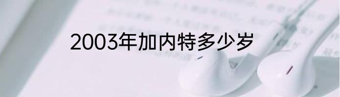 2003年加内特多少岁