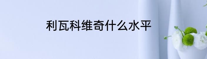 利瓦科维奇什么水平