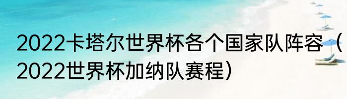 2022卡塔尔世界杯各个国家队阵容（2022世界杯加纳队赛程）