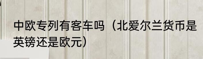 中欧专列有客车吗（北爱尔兰货币是英镑还是欧元）