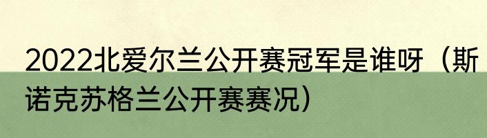 2022北爱尔兰公开赛冠军是谁呀（斯诺克苏格兰公开赛赛况）