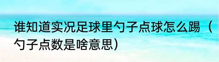 谁知道实况足球里勺子点球怎么踢（勺子点数是啥意思）
