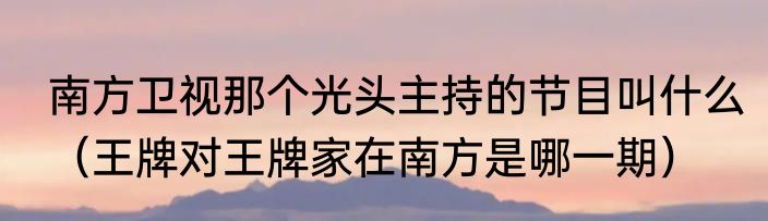 南方卫视那个光头主持的节目叫什么（王牌对王牌家在南方是哪一期）