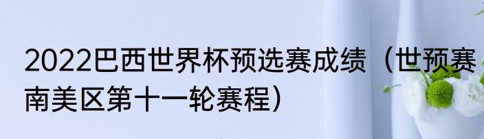 2022巴西世界杯预选赛成绩（世预赛南美区第十一轮赛程）