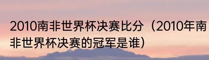 2010南非世界杯决赛比分（2010年南非世界杯决赛的冠军是谁）
