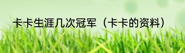 卡卡生涯几次冠军（卡卡的资料）