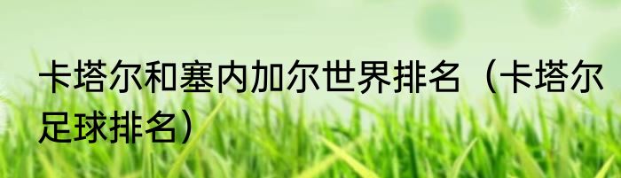 卡塔尔和塞内加尔世界排名（卡塔尔足球排名）