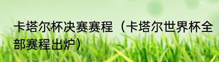 卡塔尔杯决赛赛程（卡塔尔世界杯全部赛程出炉）