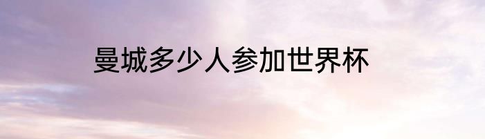 曼城多少人参加世界杯