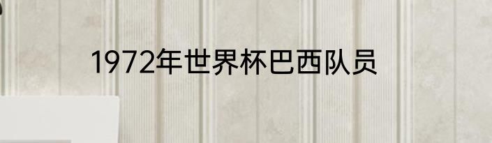 1972年世界杯巴西队员