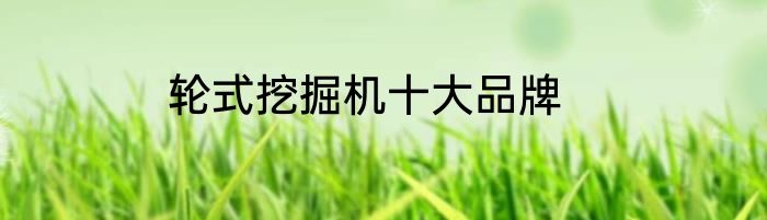 轮式挖掘机十大品牌