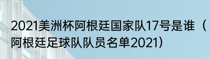2021美洲杯阿根廷国家队17号是谁（阿根廷足球队队员名单2021）