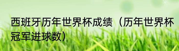 西班牙历年世界杯成绩（历年世界杯冠军进球数）