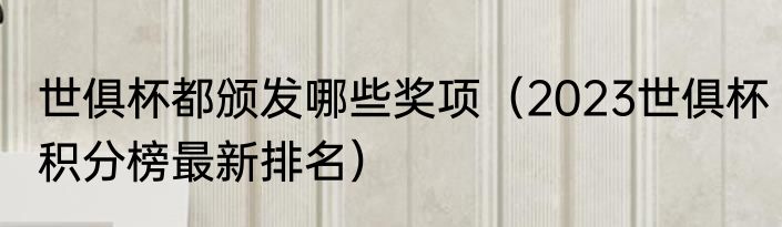 世俱杯都颁发哪些奖项（2023世俱杯积分榜最新排名）