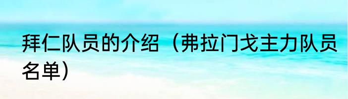 拜仁队员的介绍（弗拉门戈主力队员名单）