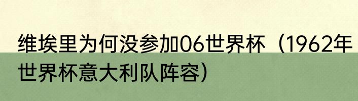 维埃里为何没参加06世界杯（1962年世界杯意大利队阵容）