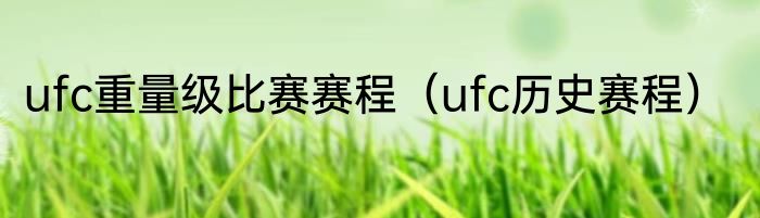 ufc重量级比赛赛程（ufc历史赛程）