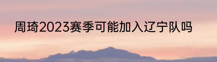 周琦2023赛季可能加入辽宁队吗